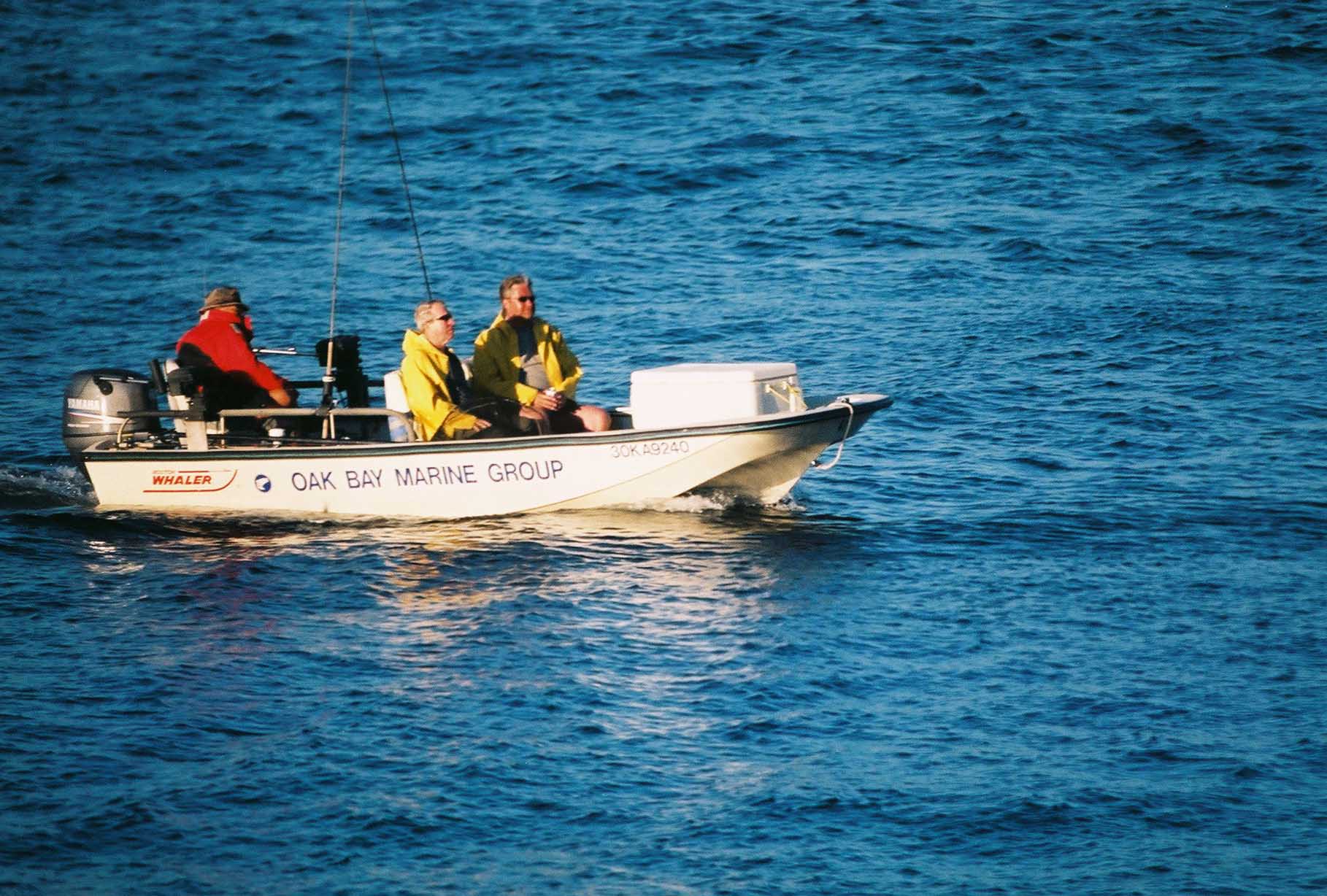Billy & Sir Jack fishing