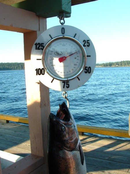 Mike Chaput's fish on the scale