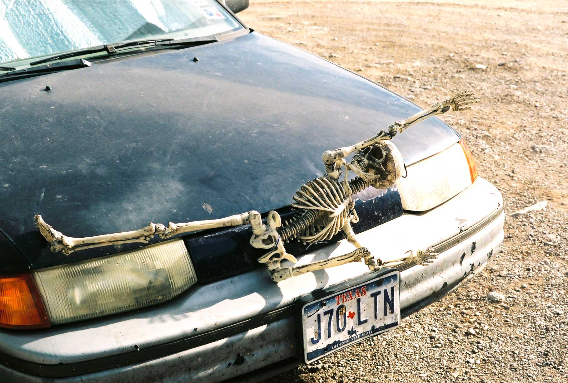 Terlingua Trading Post car with road kill